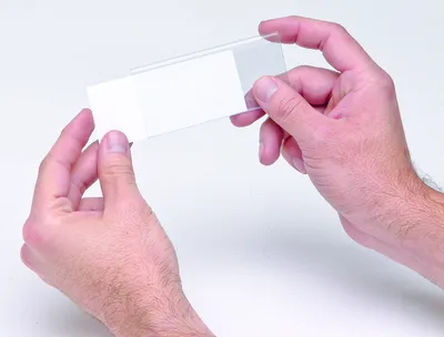 Quantum LTR-700 Clear Label Holders, Pack of 25