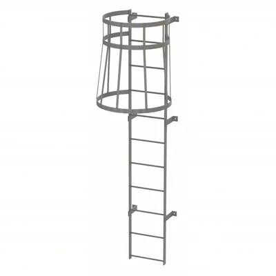 Tri-Arc 11-Step Fixed Ladder, 10 ft, with safety cage