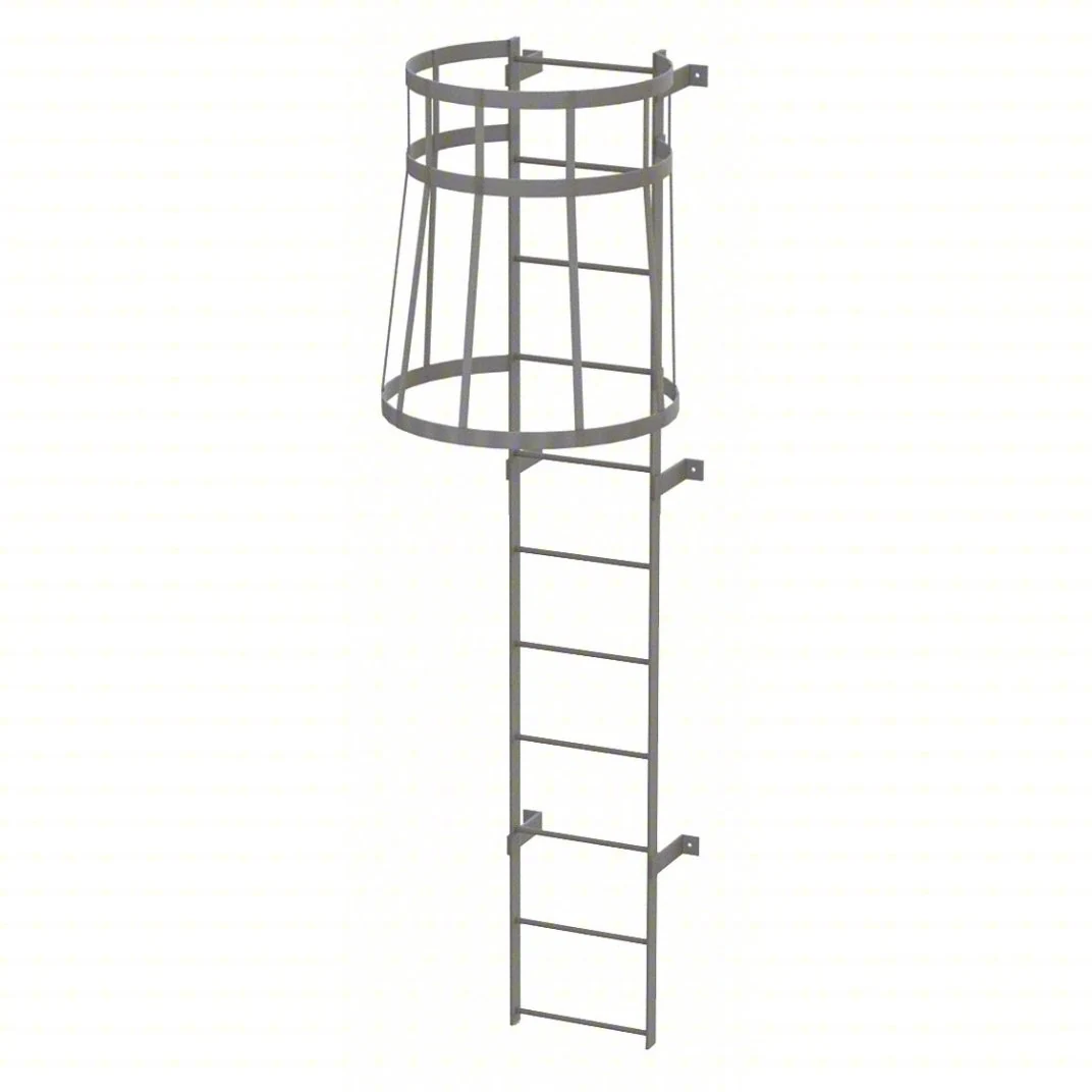 Tri-Arc 11-Step Fixed Ladder, 10 ft, with safety cage