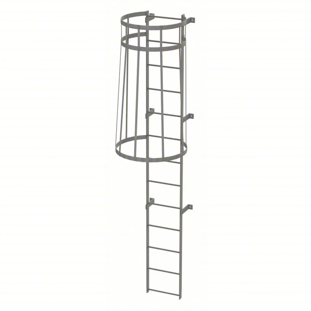 Tri-Arc 13-Step Fixed Ladder, 12 ft, with safety cage