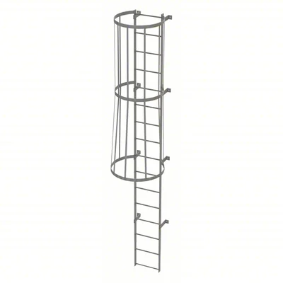 Tri-Arc 16-Step Fixed Ladder, 15 ft, with safety cage