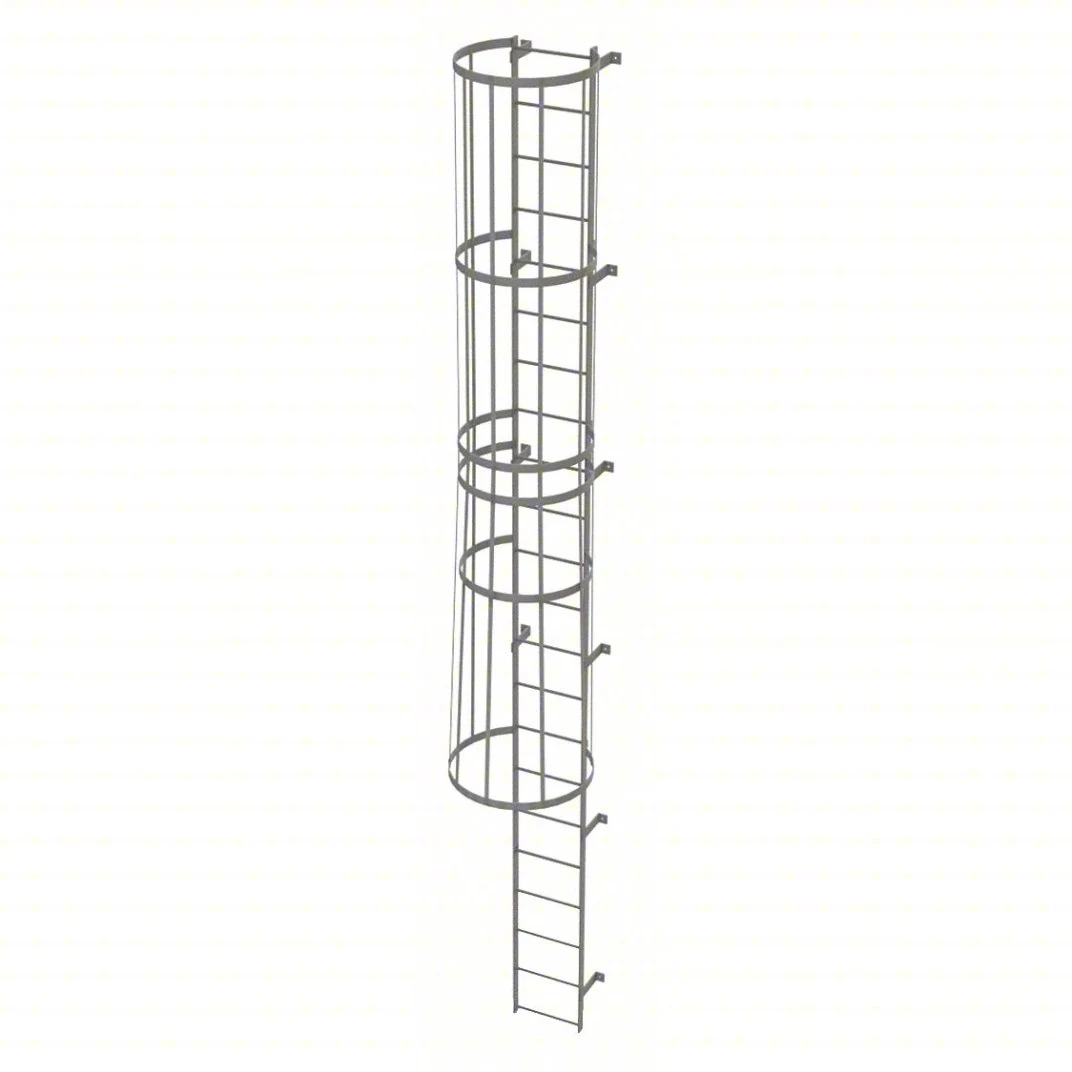 Tri-Arc 22-Step Fixed Ladder, 21 ft, with safety cage