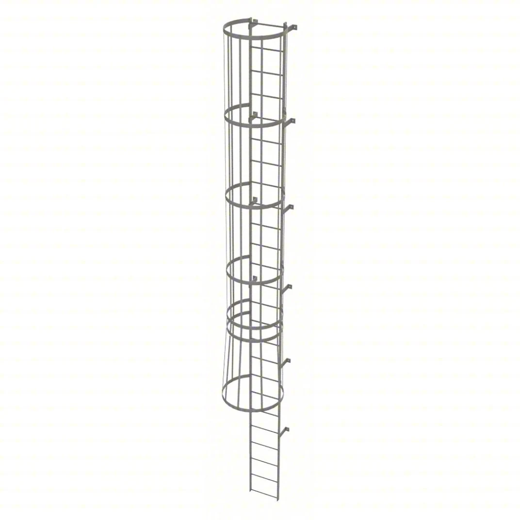 Tri-Arc 25-Step Fixed Ladder, 24 ft, with safety cage