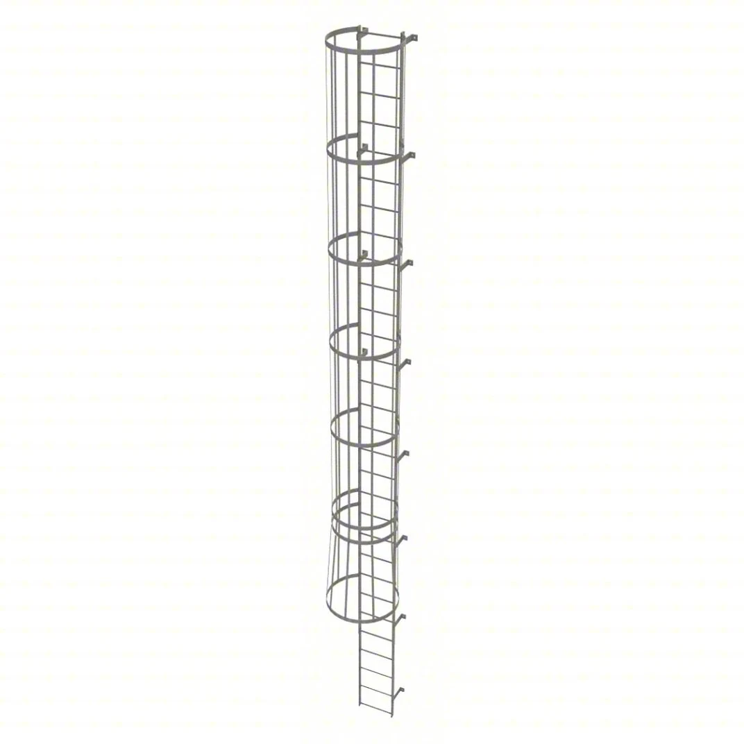 Tri-Arc 30-Step Fixed Ladder, 29 ft, with safety cage