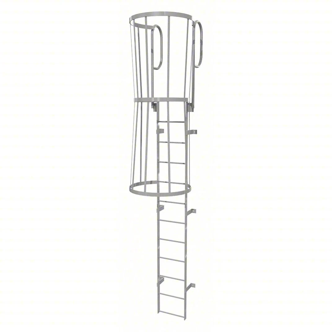 Tri-Arc 12-Step Fixed Ladder, 15 ft, with safety cage