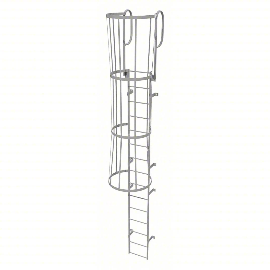 Tri-Arc 15-Step Fixed Ladder, 18 ft, with safety cage
