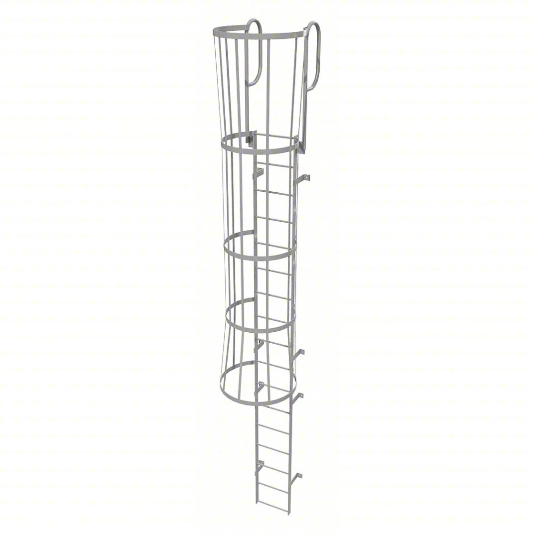 Tri-Arc 17-Step Fixed Ladder, 20 ft, with safety cage