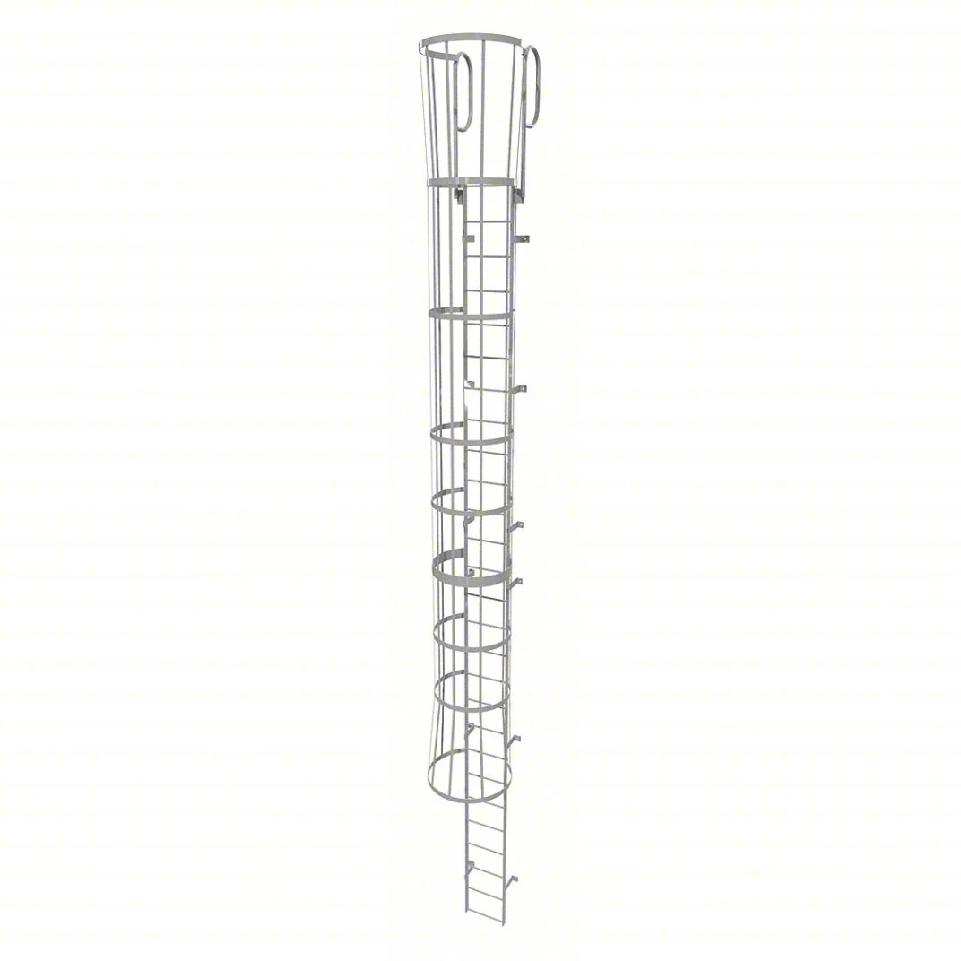 Tri-Arc 27-Step Fixed Ladder, 30 ft, with safety cage