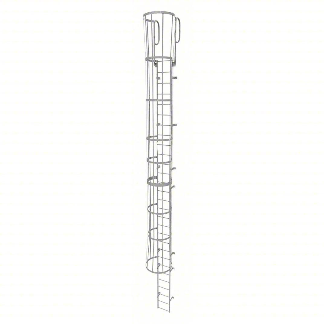 Tri-Arc 29-Step Fixed Ladder, 32 ft, with safety cage