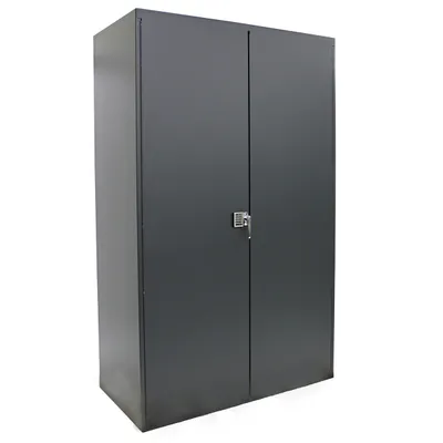 Electronic Locking Cabinet F85231A7, 48"x24"x84"