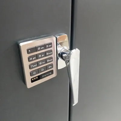 Electronic Locking Cabinet F85877A8, 48"x24"x72"