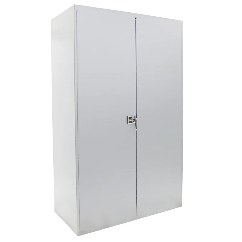 Electronic Locking Cabinet F89356WW, 48x24x78
