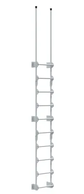 Vestil Steel Walk Through Dock Ladder 10 Step 300 Lb. Capacity White