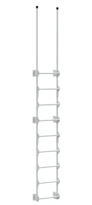 Vestil Steel Walk Through Dock Ladder 9 Step 300 Lb. Capacity White