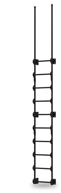 Vestil Steel Walk Through Dock Ladder 10 Step 300 Lb. Capacity Black